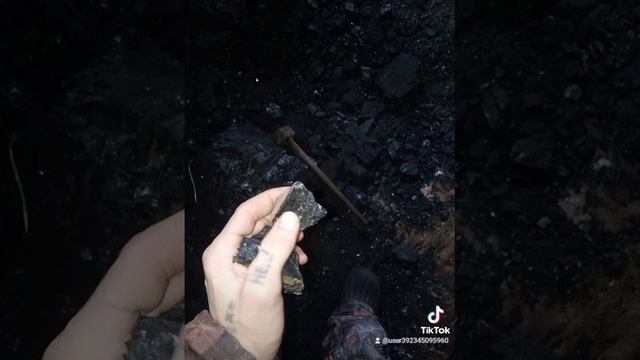 18-01-2025 дары природы