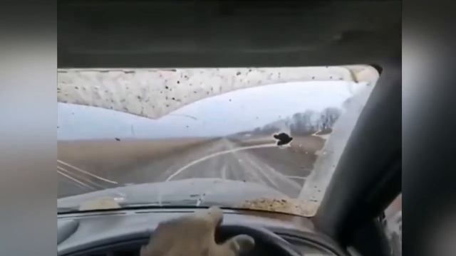 Вид изнутри на прилеты FPV-дронов в украинский "Козак-7" и пикап где-то в зоне СВО…