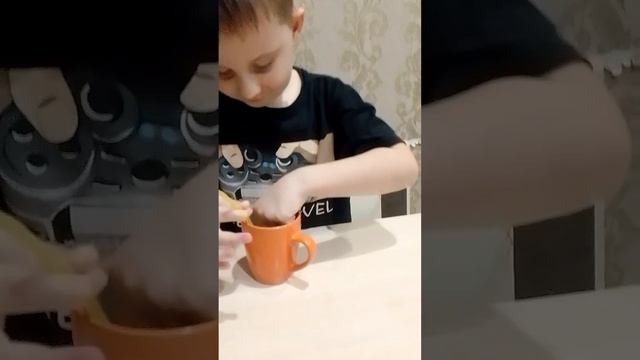 муха в кокао