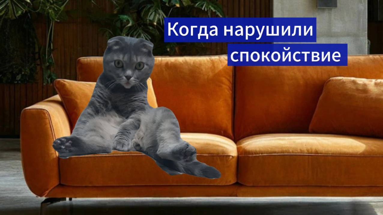 Коты генеральная уборка #прикол #котики #кошки #мем #шутки #милота