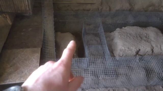 Лайки и такса. Собаки помогают при строительстве норы. База для обучения норных собак.