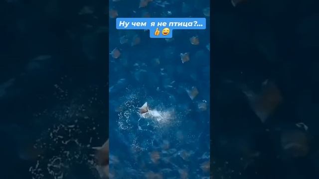 В полёте