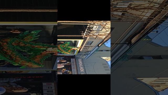 1000003759.mp4