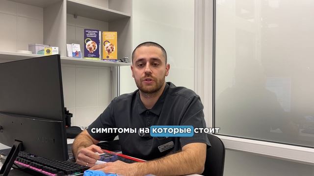 Зубы грызунов и зайцеобразных: как сохранить здоровье?