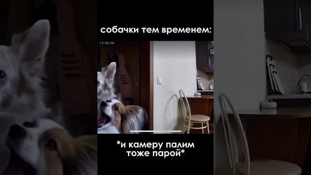 ! Двач @dvachannel @rand2ch @ru2ch_ban (1)(4) (2).mp4