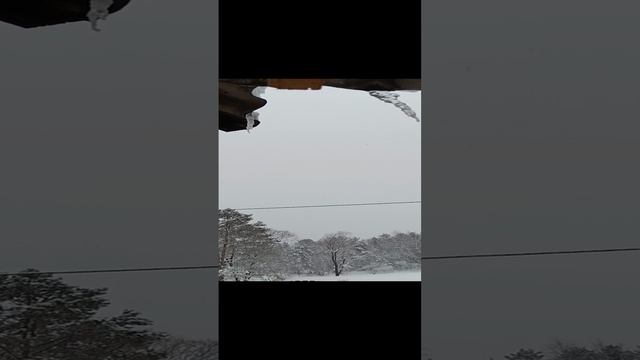 18 января 2025 г. Наблюдение для рисования.