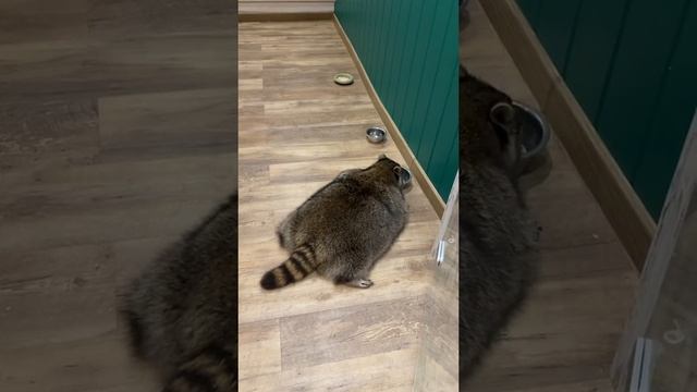 На Чили на раслабоне ☺