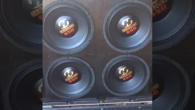 12 polegadas  650  w rms...