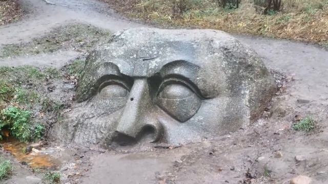 Усадьба Сергиевка в Петергофе и не только. 18.11.2020