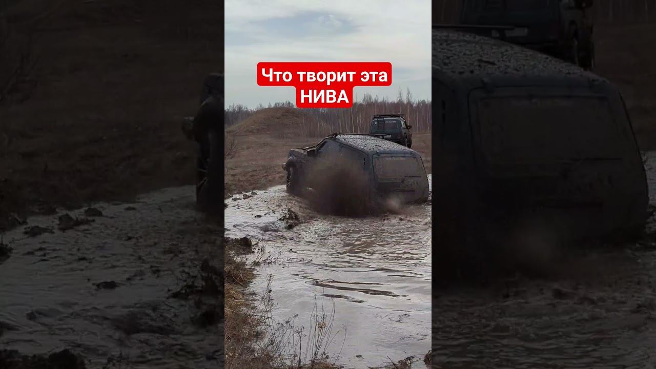 Нива на шоссейной резине творит чудеса.#offroad4x4 #offroad #niva #offroadadventure