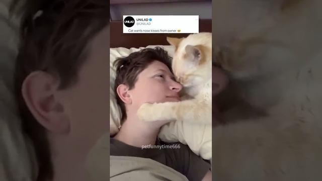 -быть-добрым-это-не-значит-быть-плохим-
