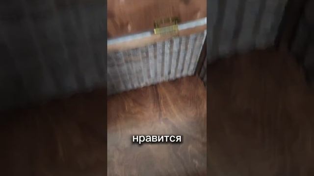 А вот и размер заказанного сундучка