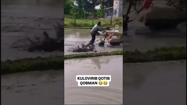 1000001069.mp4