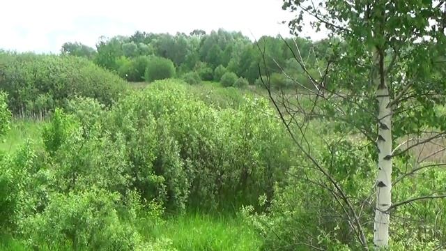 Это здорово (муз. Н. Носкова, ст. И. Прусенцова)