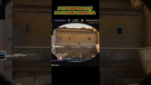 ПОТРЕНИРОВАЛСЯ НА ГОЛОВЕ ТИММЕЙТА В КС ГО #shorts #ксго #Моисей #Моисеич #мувик #шортс