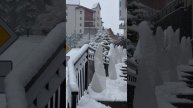 Свежий снег подвезли 😉