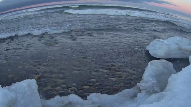 VID_20250118_162547_948.mp4