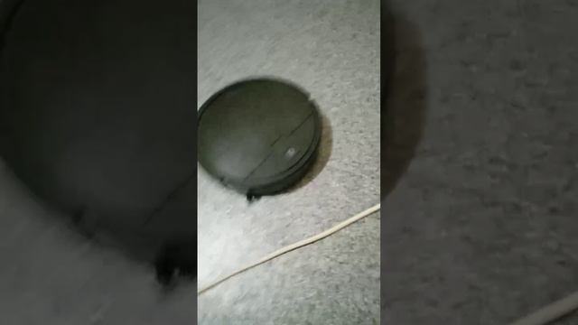2_5213335465431687693.mp4