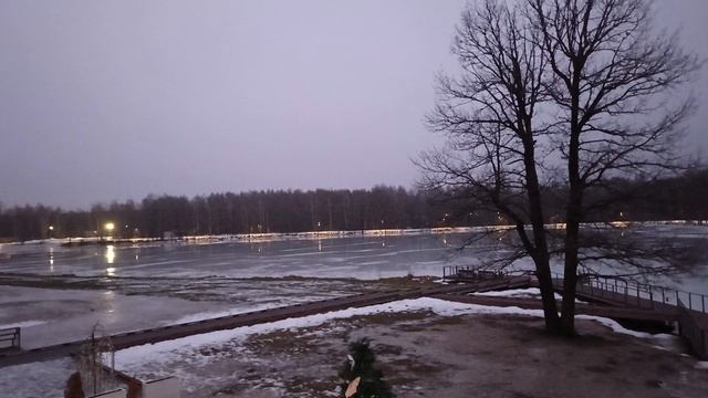 Магнолия