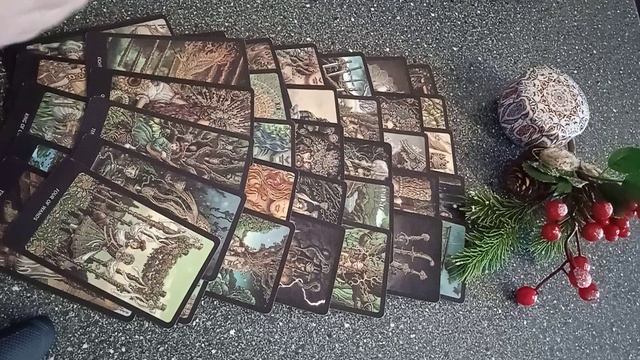 VID_20250118_104440.mp4