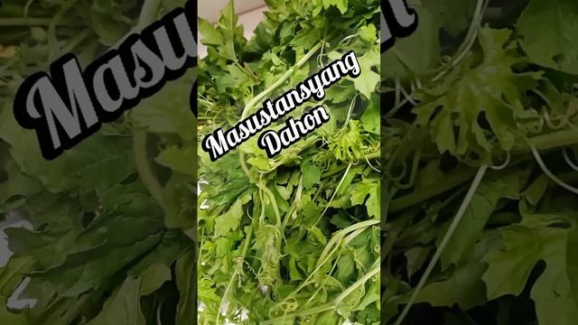 nutritious leaves | Igorota highlandera #subscribe #shorts #new #greenleafyvegetables