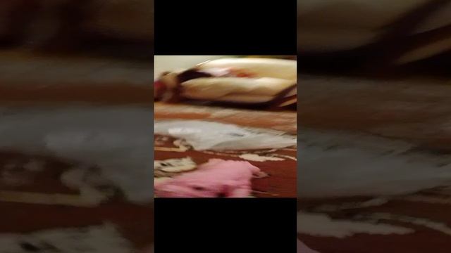 1000000238.mp4