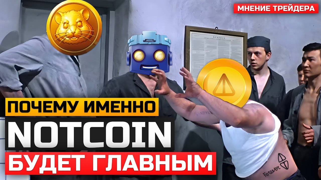 NOTCOIN Падает, Почему И Что Делать? Обзор и Сравнение с Другими проектами