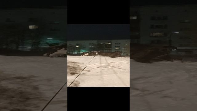 #shorts резко потеплело... Но играть в "Царя горы" никто не отменял 🤣🤣🤣