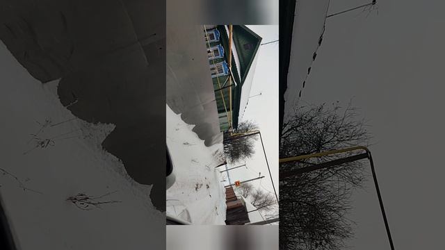 Video.Guru_20250118_012418203.mp4
