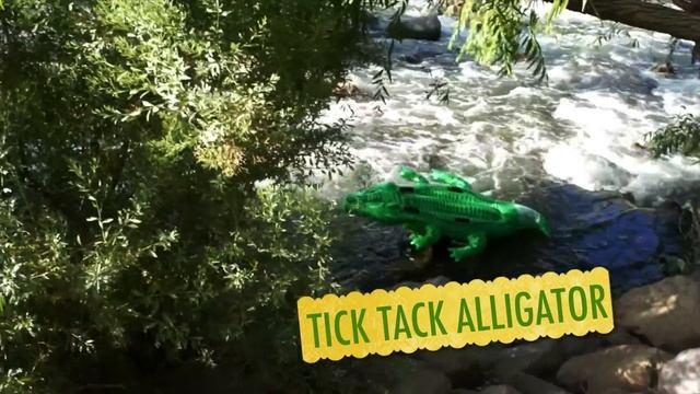 Brave Wilderness Coyote Peterson Gets Bitten By The Tick Tack Alligator (Parody)