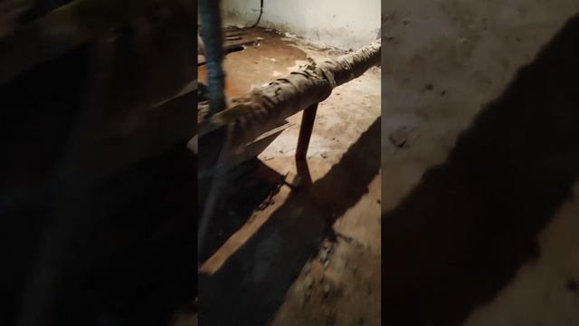 А у тебя уже началось или закончилось?