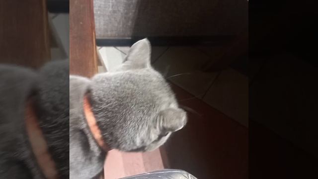 1000003665.mp4