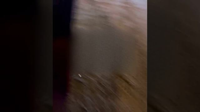 Поймали за рулем пьяную женщину, представившуюся пермской судьей