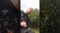 Механизмы организма: почему йоги, сидя в асанах, держат руки на коленях ладонями вверх или вниз?