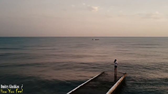 Dmitry Glushkov - How You Feel