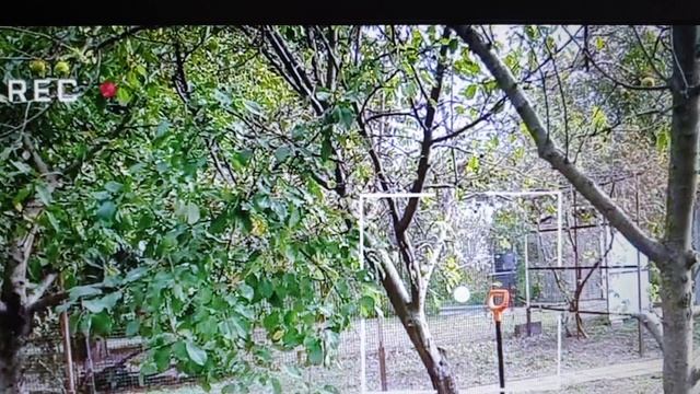 Начинающий рукож*п.  Дырочка для маси.