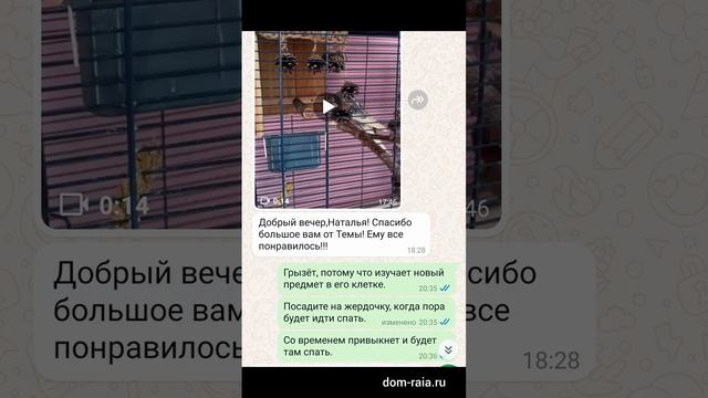 Тёма изучает свой новый домик для сна.
