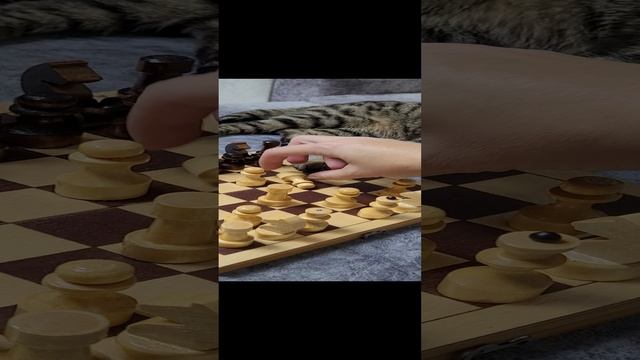 20241013_211513