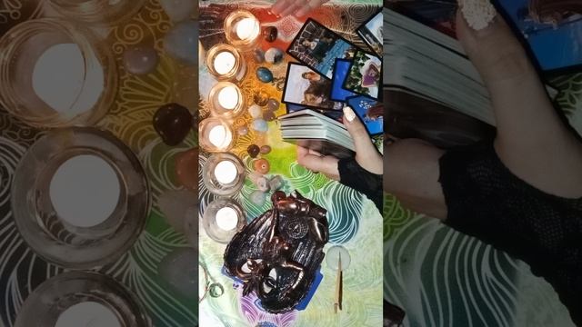 VID20250119055706