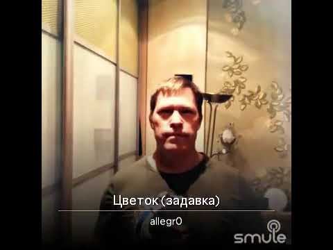 #allegr0 - Цветок