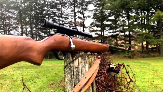 3 guns for $1200 Belgium browning blr. Marlin model 80 and a cooy sureshot