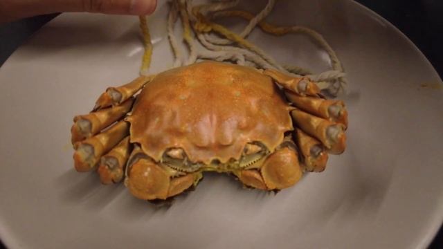 HAIRY CRAB 大闸蟹 FULL OF ROE, Hairy crab in season | EAT