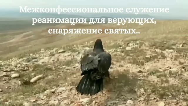 Отпустить измученных на свободу..