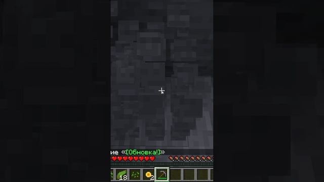 Мой Новый Друг #shorts