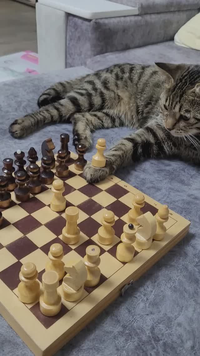 20241013_211513