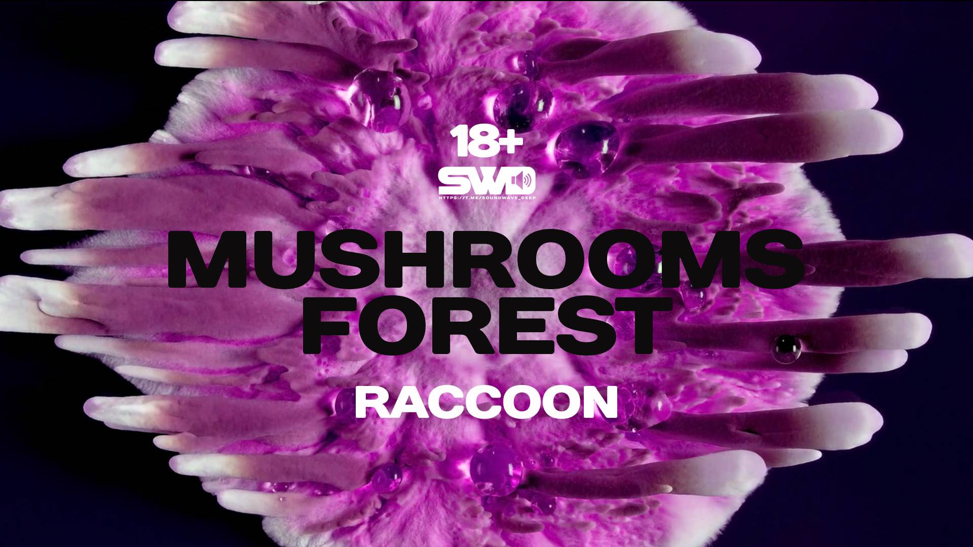 Mushrooms Forest | rework: PROfan 18+