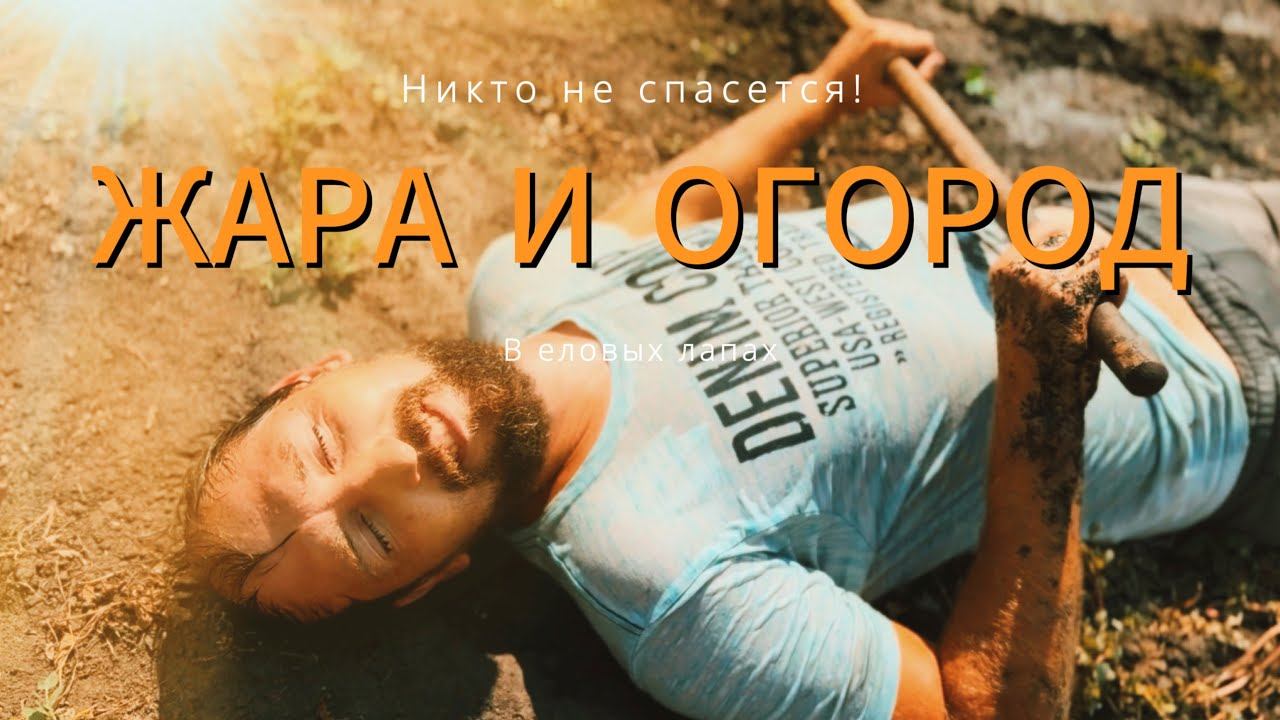 ЖАРА И ОГОРОД! В деревне уже несколько недель дикая жара! Готовим деревенский сыр! Собираем травы!