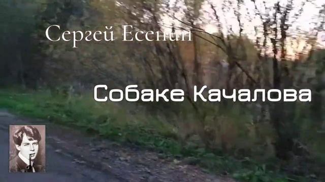 Сергей Есенин. Собаке Качалова.