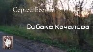 Сергей Есенин. Собаке Качалова.