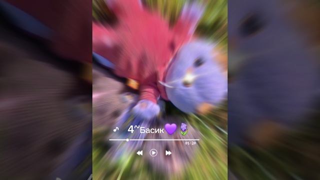 имя для басит 🩵🪼